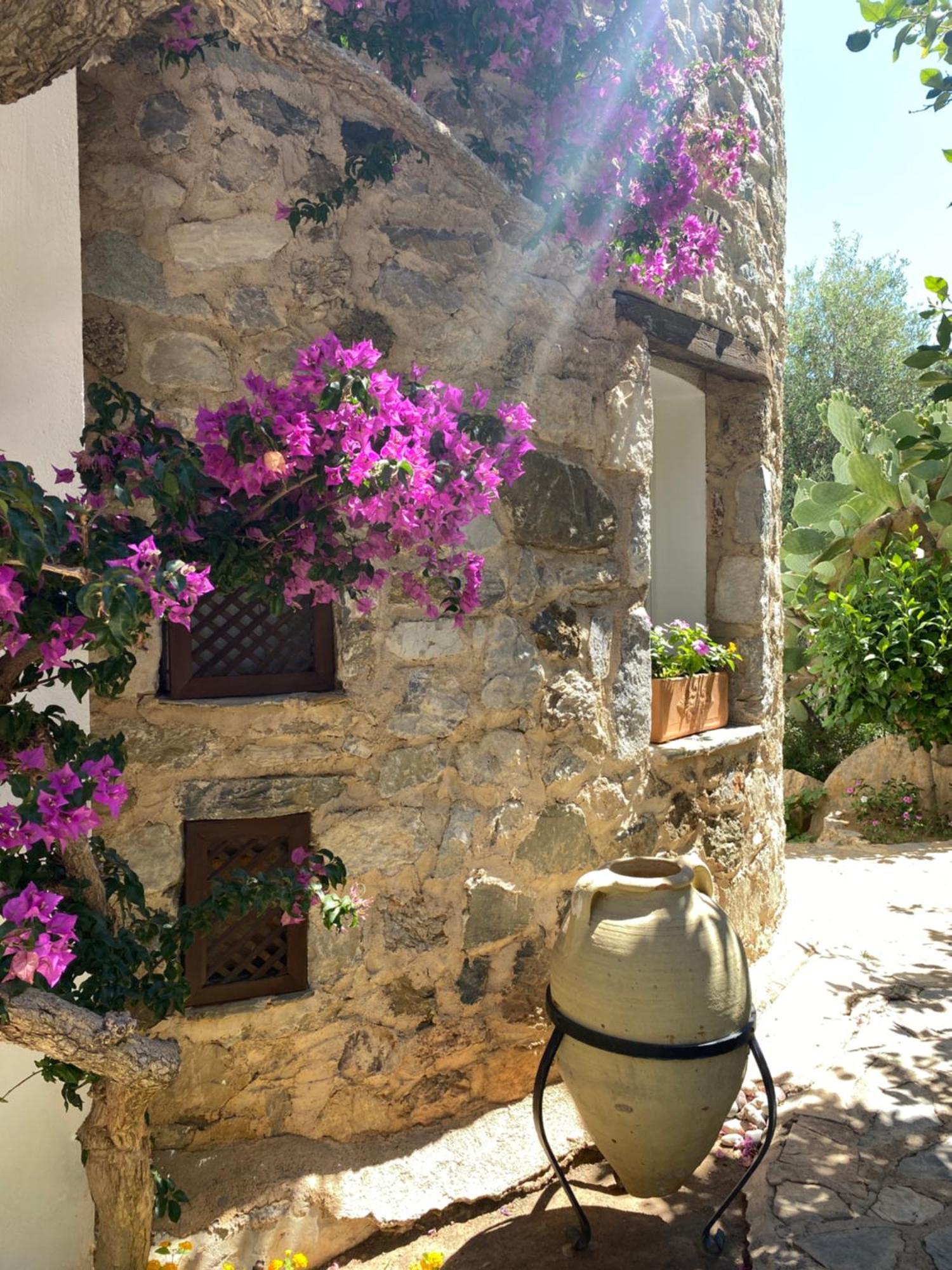 Hotel Villa Tokur ダッチャ エクステリア 写真