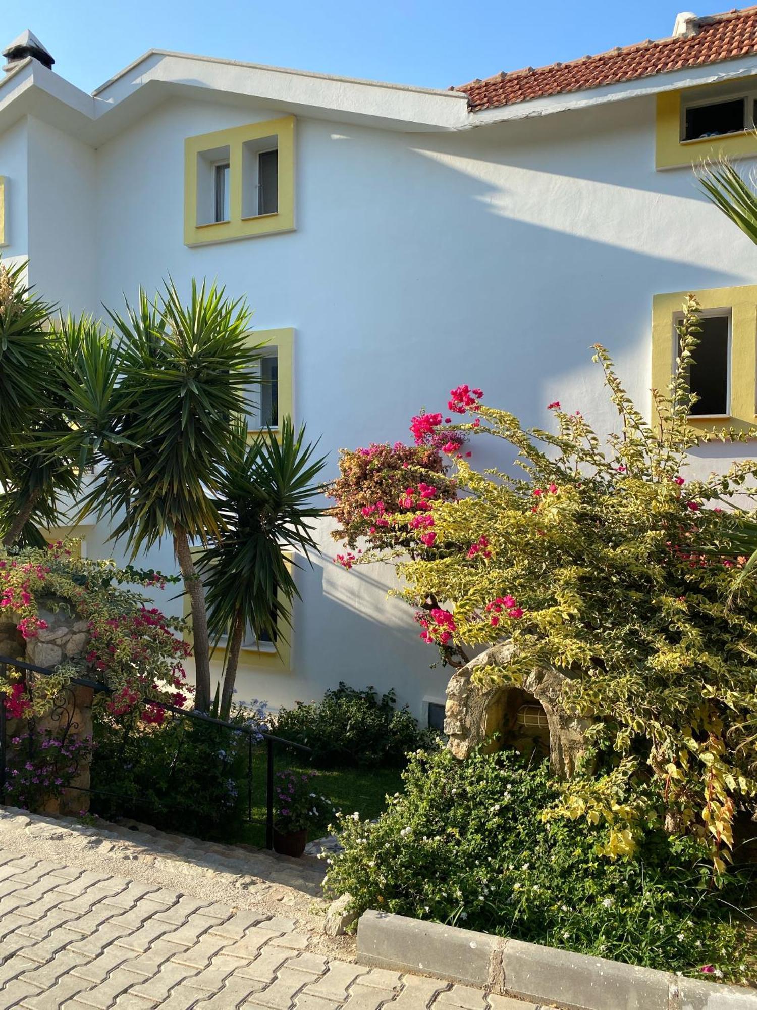 Hotel Villa Tokur ダッチャ エクステリア 写真